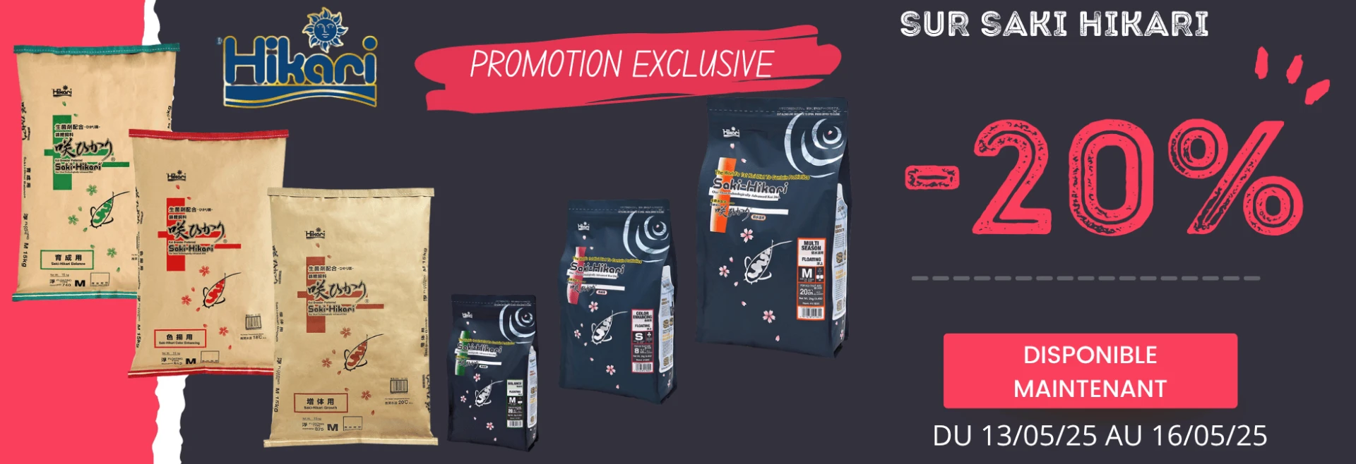 Offre exclusif sur Saki Hikari