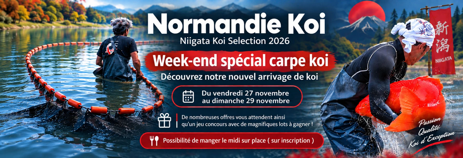 Portes ouvertes d’automne – Découvrez notre nouvelle sélection de carpes Koï du Japon