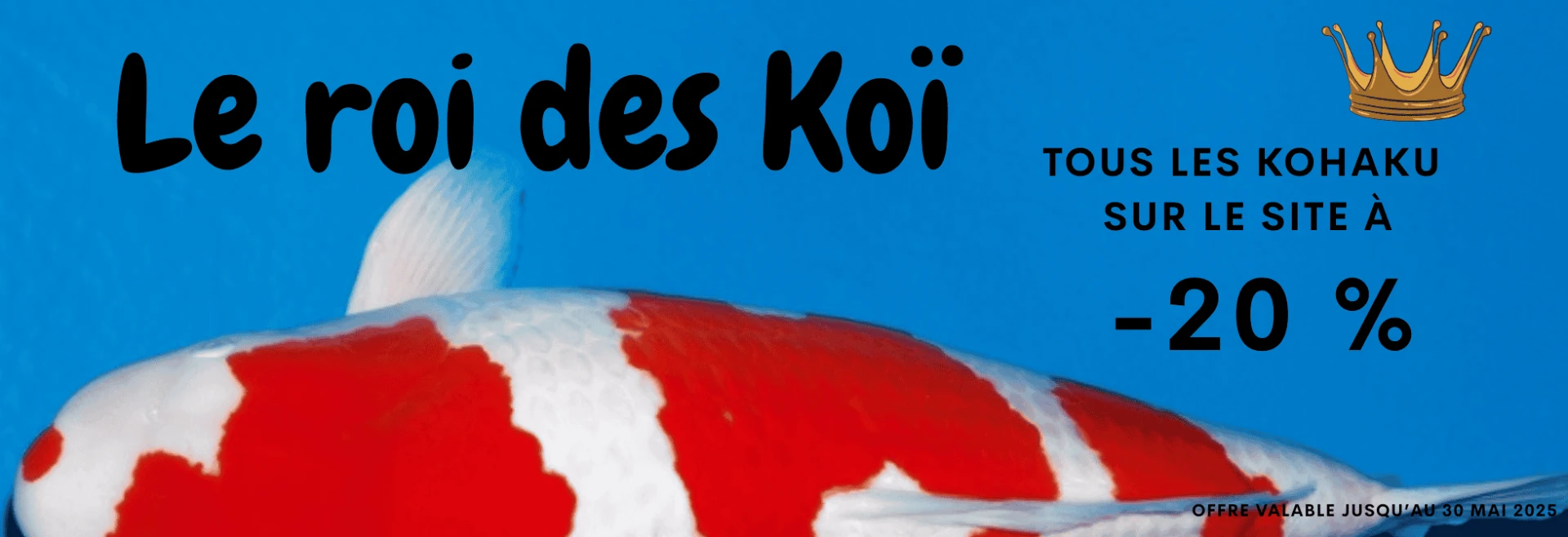 -20% sur tous les kohaku