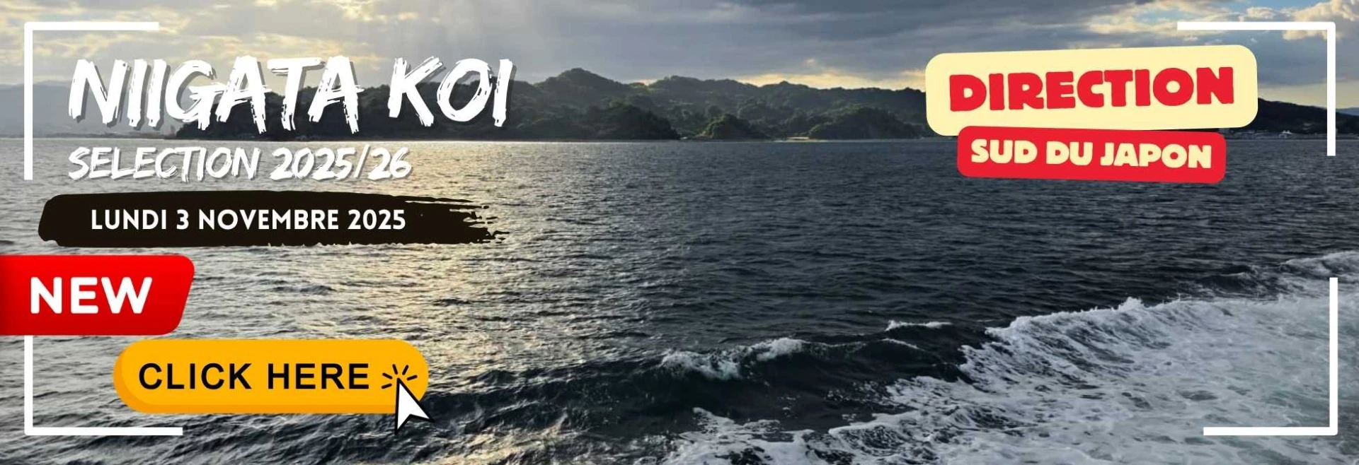 Voyage au Japon 2025 – Nos plus belles sélections de koï