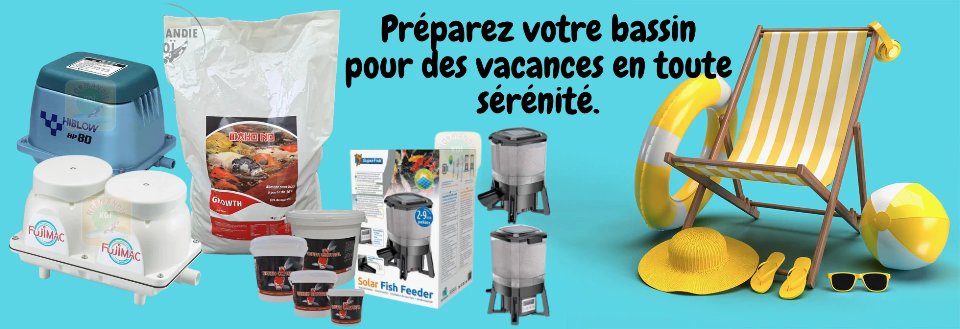 Comment partir en vacances sereinement quand on possède un bassin à koï ?