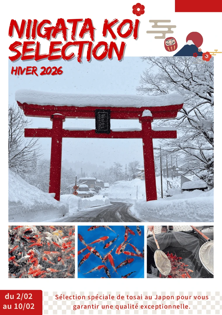 Niigata selection hiver 2026