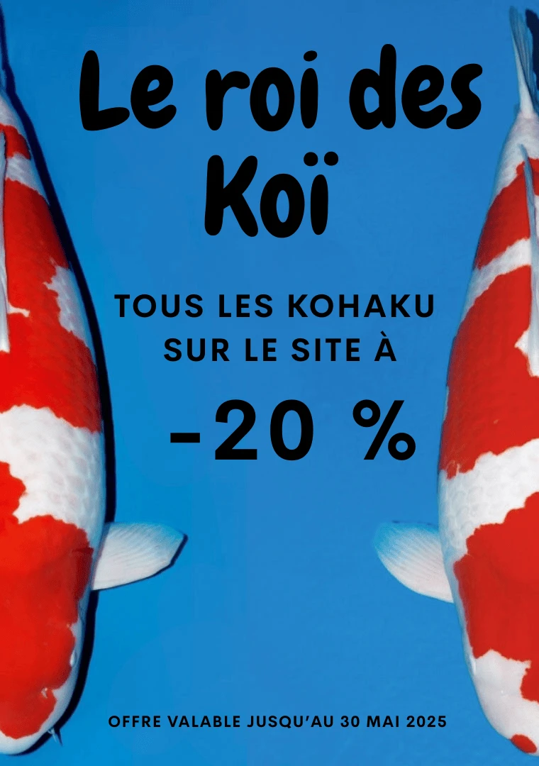 -20% sur tous les kohaku