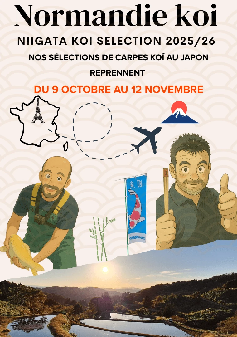 🌸 Nos achats d’automne au Japon commencent ! 🌸