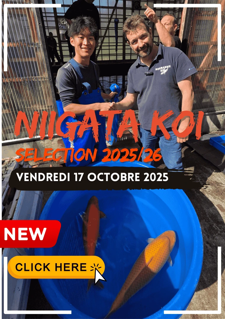 Sélections du 17 octobre 2025 : Une journée ensoleillée à Niigata