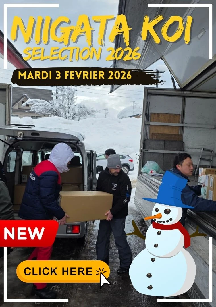 Niigata selection hiver 2026