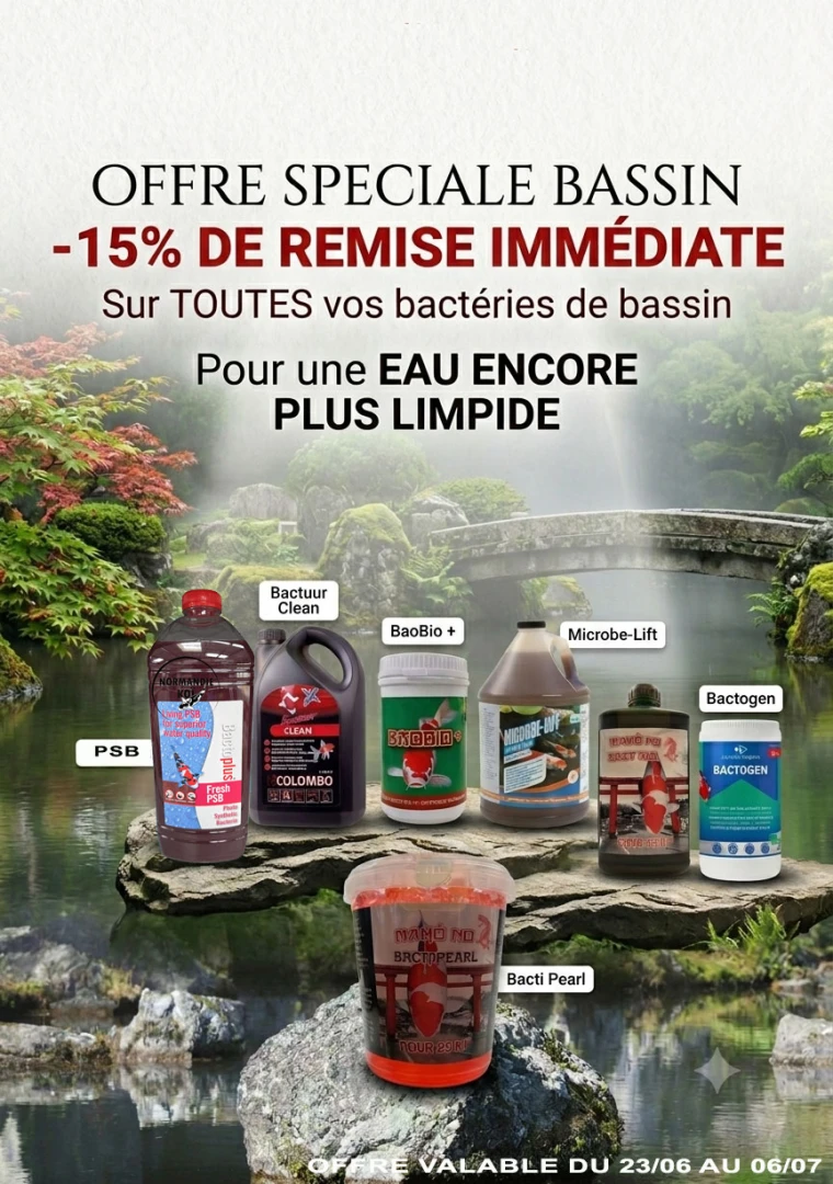 Promotion sur les Bacteries de bassin
