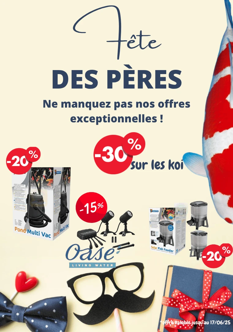 Fêtes des pères
