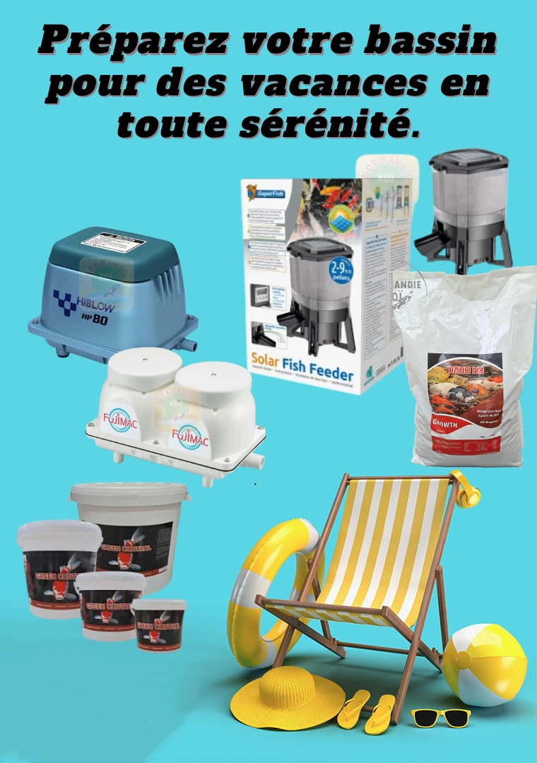 Comment partir en vacances sereinement quand on possède un bassin à koï ?