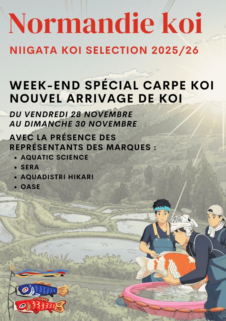 Portes ouvertes Niigata koi sélection 2025/26