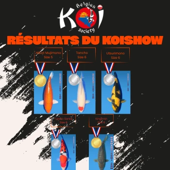 Résultats BKS Koi Show Belgique | Normandie Koï
