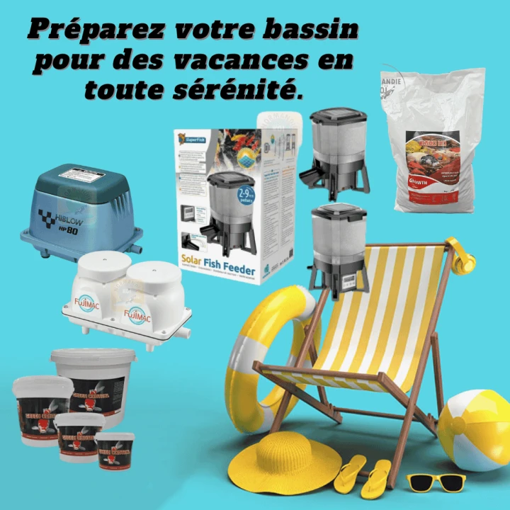 Vacances sereines avec des koï : les 5 indispensables