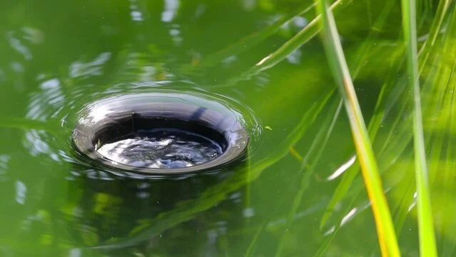 Entretien du bassin